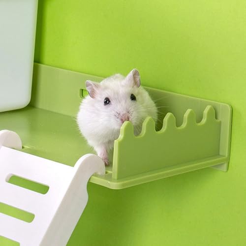 Plataforma de Jogo de Hamster, Plataforma de Hamster de Plástico Com Escada, Plataforma de pé de Peq
