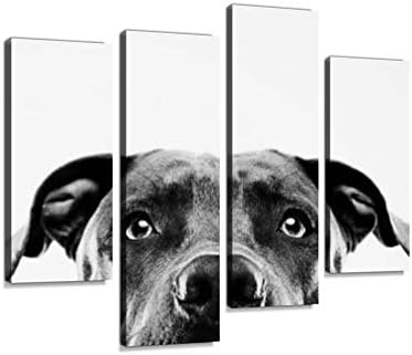 Black and White Pit Bull Dog Studio Portrait Canvas Wall Art Hanging Paintings Modern Artwork Abstract Picture Prints Home Decoration Gift Unique Designed Framed 4 Panel