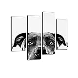 Black and White Pit Bull Dog Studio Portrait Canvas Wall Art Hanging Paintings Modern Artwork Abstract Picture Prints Home Decoration Gift Unique Designed Framed 4 Panel