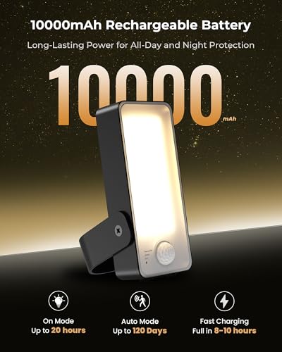 Rechargeable Motion Sensor Porch Light