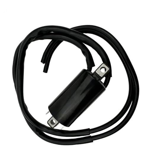 Bobina de encendido de 12V para moto YZF-R1, YZF600R y Super Tenere XTZ750