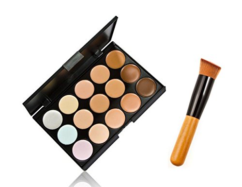 US-LONG-DREAM Professional 15 Color Concealer Camouflage Makeup Palette With a Brush
