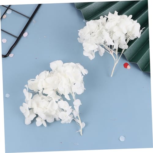 Pétalos de hortensia natural secados para decoración blanco miniatura 2