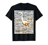 acuarela flamenco ¿Tienes cosquillas de color rosa con serenidad y vida contenta? Los flamencos representan un sentido de comunidad y confianza. Equilibra tu ¿Te gustan las aves tropicales y los pájaros que van más allá de la adherencia icónica? Comparte una elegancia tropical amigable con el flamenco.