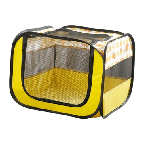 f qL̏oY̎qLpxr[T[NƌpN[g