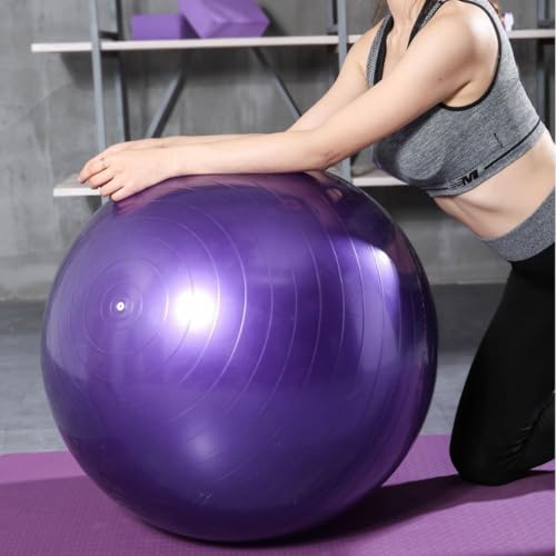 SJMR Swiss Gym Fitness Ball 65cm for Yoga, Pilates & Pregnancy – Anti-Burst Stability Ball with Quick Pump (Purple)