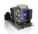 Poxtedsr 5J.JD305.001 Lampe de remplacement pour projecteur compatible avec BENQ HT4050, W1350, W3000, avec boîtier Poxtedsr 5J.JD305.001 Lampe de remplacement pour projecteur compatible avec BENQ HT4050, W1350, W3000, avec boîtier