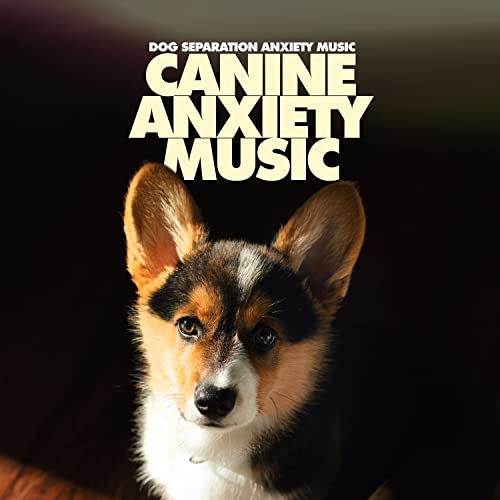 Play Canine Anxiety Music by Dog Separation Anxiety Music on Amazon Music