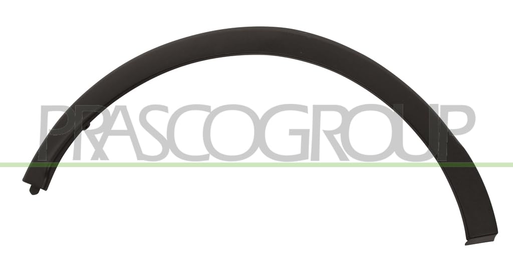 Right Rear BLIC 5703-04-6009598P Trim/Protection Strip, wing for RENAULT