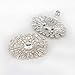MLAVXCC 2Pcs Fashion Women's Rhinestone Shoe Clips Decorative Shoes Hat Dress Accessories (Silver)