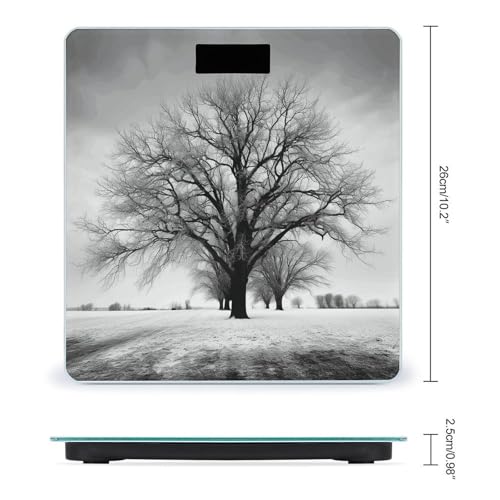 Báscula digital de baño con vidrio templado y pantalla LCD miniatura 2