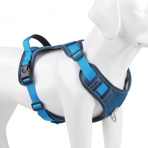 SefoemutyČ łŏvBA^A^A^A匢ɓKĂ܂B̖OɉĔwʂɎxsƂł܂B1.5m̃[VtB͂̂Ȃh~B߉\ȃIbNXtH[hfނ̉OppxXg (u[,L)