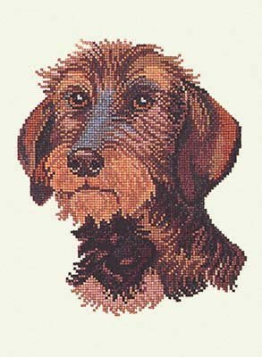Eva Rosenstand Wire-Haired Dachshund Cross Stitch Kit
