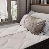 Osminthe B0GSB16VTW lato 4