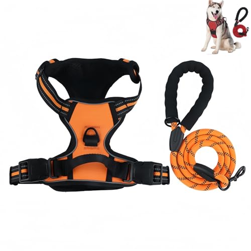  n[lX ߉\ Ԕ ʋC bV s⏕ U p y S  h~ hbO P Č (IW,38-61 cm)