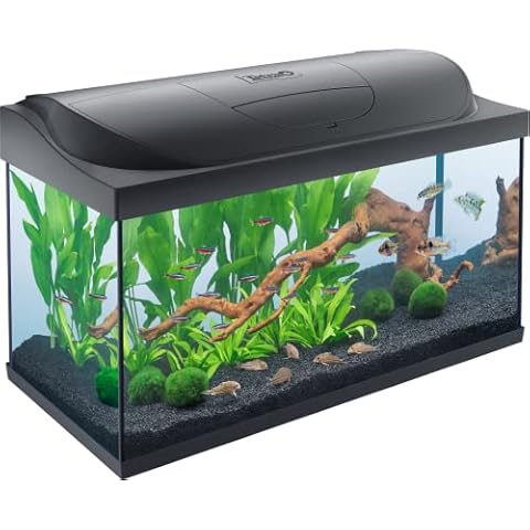 Tetra Starter Line 105 L Aquarium Komplett-Set Cover