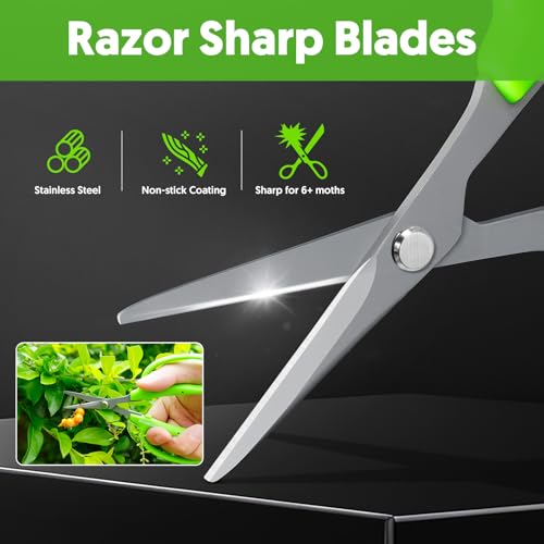 Image of Garden Scissors, 2PCS 6in Pruning Shears Snips Non-stick Coated Sharp Steel Blades - Gardening Tools Garden Shears for Plants Herb Flowers in Grow Tent and Hydroponics
