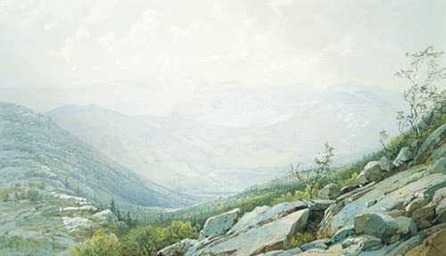Impression toile mont Washington Richards 60x90cm pour mur de bureau vide