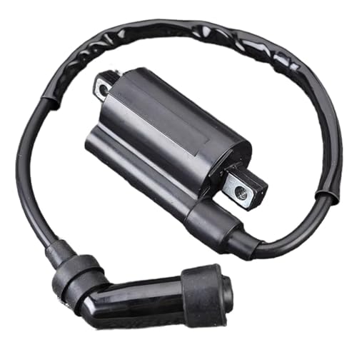 �o�C�N�p�C�O�j�b�V�����R�C�� 33410-05350 �_�΃R�C�� �ɓK������GN125 GS125 DF125 DF200 DR125 �ɓK������DR125SE DR200 �ɓK������DR200SE TU125 4DN-82320-00 4DN-82320