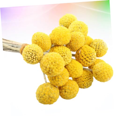 BESPORTBLE 30 tallos flores secas decorativas amarillas miniatura 4