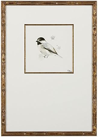 Amazon.com: Ethan Allen Watercolor Bird Iii Framed Artwork: Wall Art
