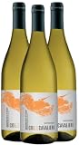 3 Bottiglie Colle Cavalieri Pecorino Terre di Chieti IGP Cantina Tollo, Vino Bianco, 100% Pecorino, 13% Vol, 750 ml