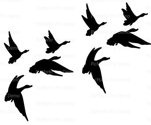 Art of Eric Gunty - 1/4 Sheet Cake - Geese Duck Silhouette Bird Birthday - Edible Cake or Cupcake Topper - D20131
