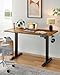 ErGear Whole Piece Standing Desk with 48x30 inch Desktop, Adjustable Stand Up Desk for Home Office, Electric Computer Desk Workstation with Cable Management Tray, Vintage Brown, EGESD65V