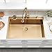 SOMRXO 30×22 Drop In Kitchen Sink with Faucet Combo-Stainless Steel Gold Drop In Sink with Cup Washer, 9 Inch Deep Single Bowl Kitchen Sinks and Faucets Combo Set,Top Mount Design for Modern Kitchens