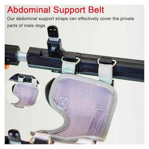Silla de ruedas para perros y gatos discapacitados, cochecito ajustable 6