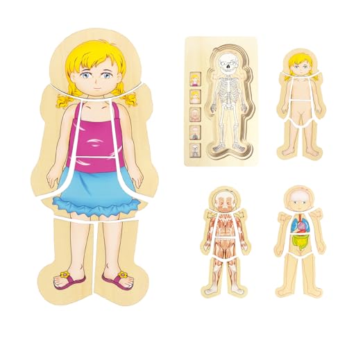 WOODENFUN Puzzle Mon corps pour enfants de 3 à 5 ans, kit de jeu d'anatomie Montessori, puzzle à superposer pour enfants d'âge préscolaire et enfants à partir de 3 ans (fille)