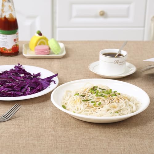 TOYANDONA 5 Platos Grandes de Color Claro para Microondas, Resistentes al Calor, para Cocinar al Vapor y Calentar Empanadillas, Platos Multifuncionales para Hogar y Uso Diario - imagen 5