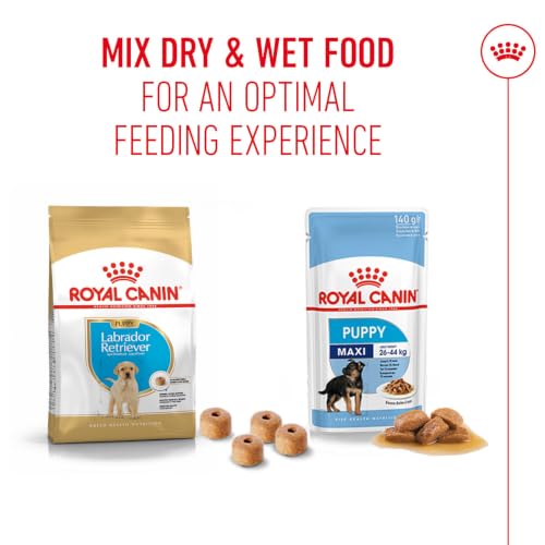 Image of Royal Canin Labrador Retriever Puppy Food, 200 Grams, Dry Food, Supports Immune System & Digestive Health, Promotes Healthy Growth & Weight