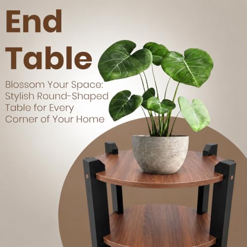 Image of Modern Round Side Table, Home Decor for Living Room, Bed Side Tables for Bed Room, stools for Home, Furniture for Home, 2-Tier White Shelves, 30 x 30 x 40 cm (Oval Brown Top)