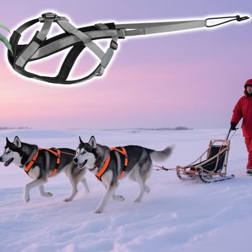 Zughundegeschirr - Reflektierendes Laufgeschirr Für Hunde - Verstellbares Gurtzeug Für Training Skaten Outdoor Aktivitäten