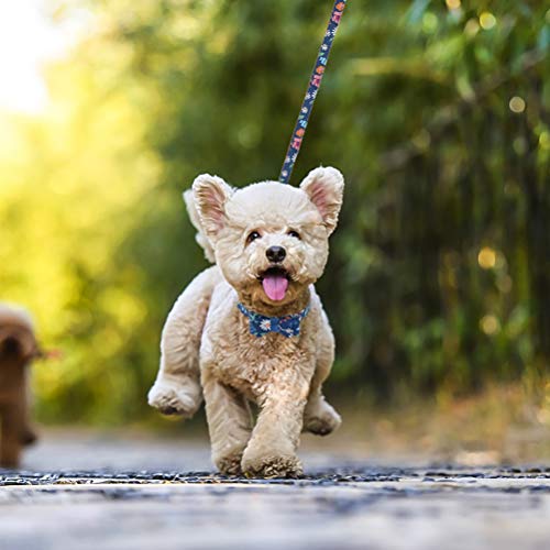 Image of EXPAWLORER Dog Collar and Leash Set - Classic Plaid Dog Bow Tie and Dog Bandana Collar with Bell, Dog Leash Tangle Free, Adjustable Collars for Small Medium Dogs, Holiday Ideal Gift, Flower SM