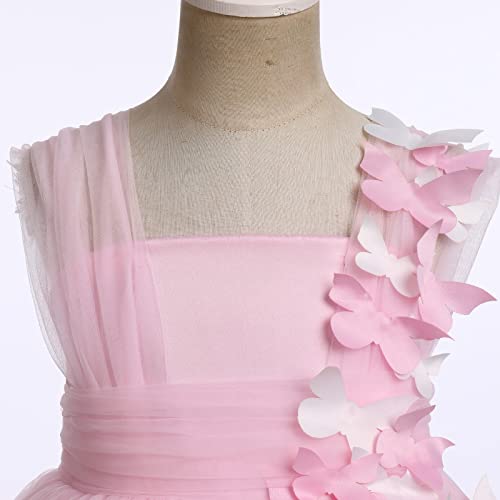 Flower Girl Dress Baby Girl Butterfly Tutu Dress Infant Toddler Sleeveless Tulle Birthday Dress Pageant Party Dresses4