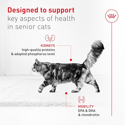 ROYAL CANIN Feline Health Nutrition Aging 11+ Dry Cat Food for Seniors, Kibble Rich in Energy for Cats Over 11 Years, Supports Optimal Health & Vitality, 6 lb Bag - image 6