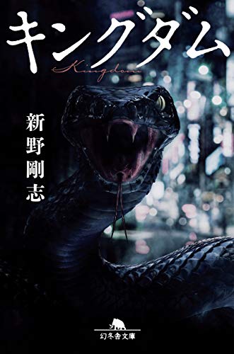 キングダム (幻冬舎文庫)
