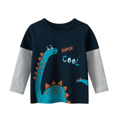 Toddler Boys Long Sleeve Shirts Dinosaur Shirts for Boys Toddler Boy Fall Raglan Cotton Sweatshirt Tee Shirt for 1-6 Years