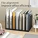 File Rack Section Vertical Desktop Organizer, Mesh File Folder Stand Sorter for Office Home Letter Trays(Large)
