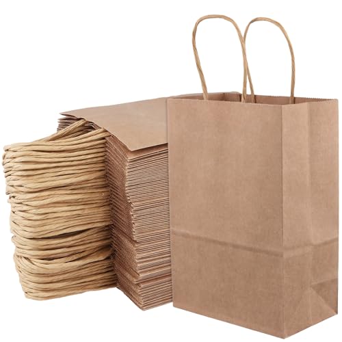 Sacs en papier kraft marron avec poignées torsadées petit sac de transport 15x8x21