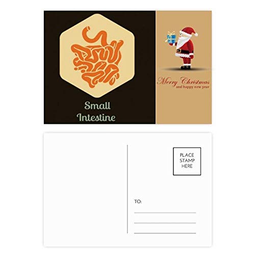20 Cartes postales Père Noël pour organismes publics et CSE