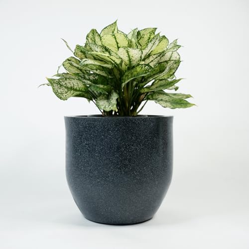 TrustBasket Chromora | 12 Inch (Set of 3) Unbreakable German Polymers Pot | UV Protected Flower Pot for Living Room, Balcony | Lightweight Planter for Home Décor | Decorative Pots for Plants Big Size