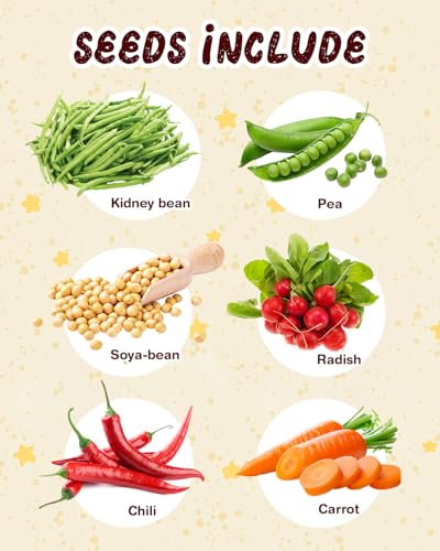 Root Viewer Kit for Kids with 6 Seed Varieties - STEM Science Kits for Kids Age 5-7, 8-12 | Perfect Christmas, Easter, Birthday Gift & School Gardening Project | Learning Educational Gardening Toys - Image 3