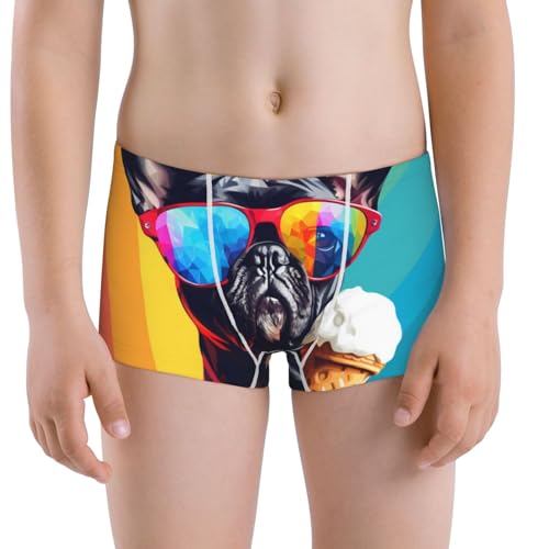 Boys' Cotton Boxer Brief Soft Underwear-Rainbow Bulldog Sunglasses