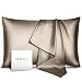 Leafbay 100% Pure Mulberry Silk Pillowcase for Hair & Skin - Allergen Resistant Dual Sides 600 Thread Count Silk Bed Pillow Cases with Hidden Zipper, Queen Size