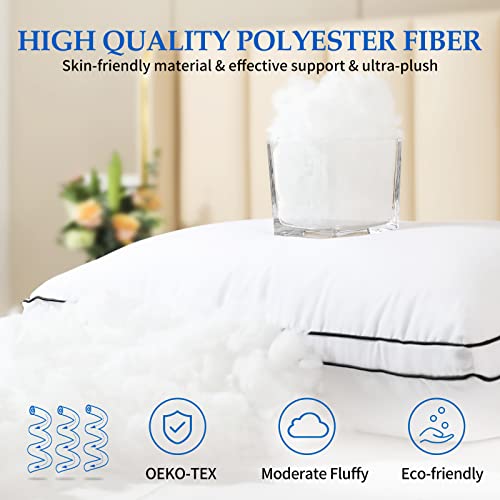 Dolceluna Pillows King Size Set Of 2, Bed Pillows For Sleeping 2 Pack, King Pillows Down Alternative Hotel Luxury Pillow For Side And Back Sleepers, Soft & Comfortable #TOP3
