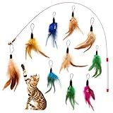10 Stück Katzenspielzeug Feder, Interaktive Katzen Spielzeug mit Federn, Feder Katzenangel Anhänger mit Glocken, Spielzeug für Katzen, Bunte Ersatzfedern Zubehör für Bewegung und interaktives Spiel