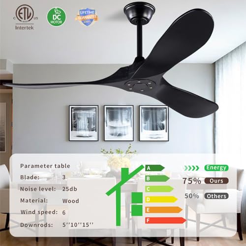 Black Modern 52 Inch Large Ceiling Fan with Remote, Industrial Outdoor Wood 3 Blade High CFM Wet Rated Ceiling Fans for Patios Porch Gazebo - Propeller Ceiling Fan for Indoor Living Room Bedroom